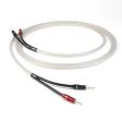 Chord ShawlineX Speaker Cable 3m (Pair) Online Sale