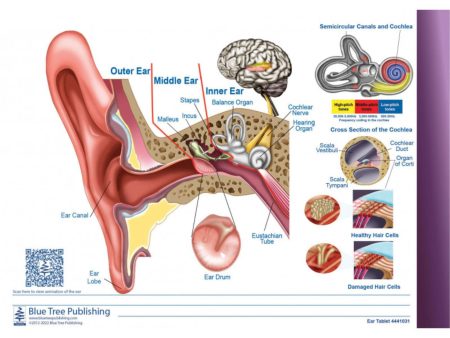 The Ear TearOff Tablet Online Sale