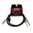 Blastking C2QTC-6 USB-C To Dual 1 4” (6.35mm) Audio Cable   6ft (1.82m) Online Hot Sale