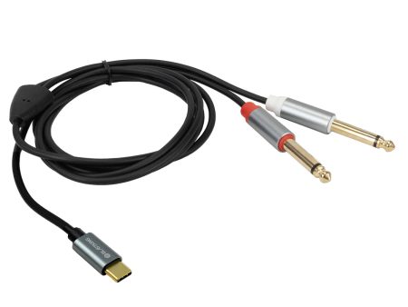 Blastking C2QTC-6 USB-C To Dual 1 4” (6.35mm) Audio Cable   6ft (1.82m) Online Hot Sale