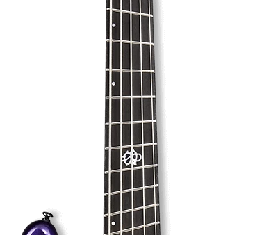 Spector Ns Dimension High Performance 5 Multi-Scale 5-String Bass Guitar - Plum Crazy Gloss Discount