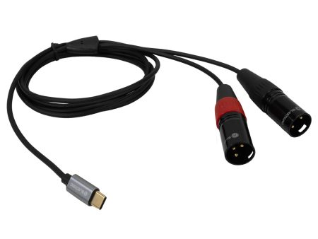 Blastking C2XLRTC-6 USB-C To Dual XLR Male Audio Cable   6ft (1.82m) Hot on Sale