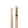 Promark Rebound 2B Hickory Acorn Tip Drumsticks Supply